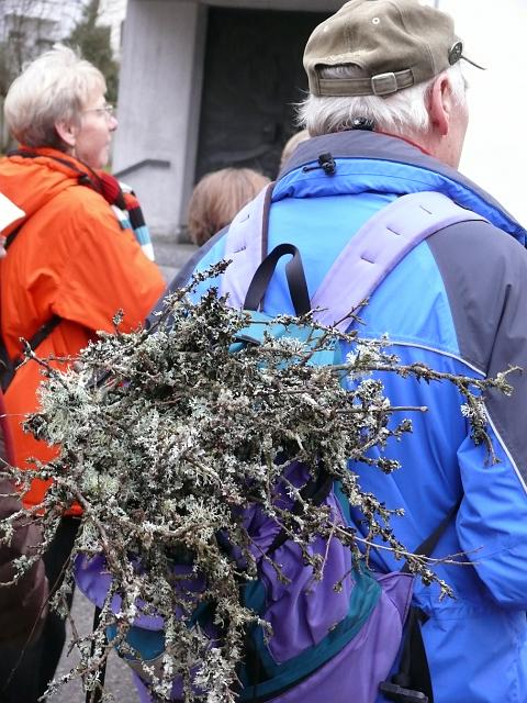 Von Hettingen über den Teufelslochfelsen nach Gammertingen